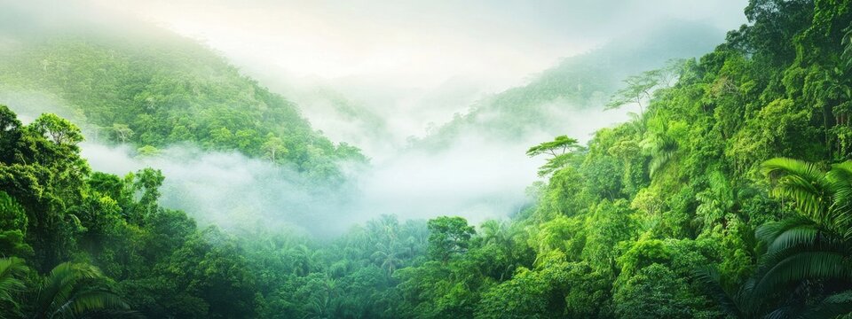 Lush Green Jungle Landscape with Mist and Fog in Mountain Range