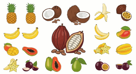 Fruits tropical fruit assortment including pineapple, banana, coconut, mango, papaya, passion fruit, carambola, cacao vector