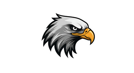 Fototapeta premium Fierce bald eagle head with intense gaze on a dark black background