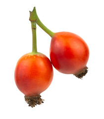 Rosehip berries on a white background