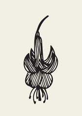 Illustration Hand Draw Doodle Elegant Princess Earring Flower Black and White