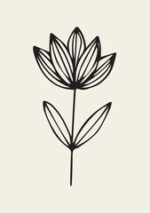 Illustration Hand Draw Doodle Blooming Lotus Flower Black Tattoo