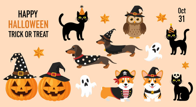 Halloween themed illustration with pumpkins cats dogs ghosts owl and stars.