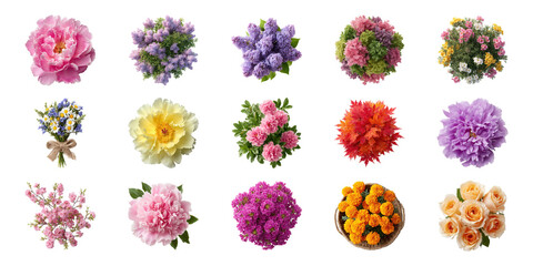 Floral Arrangement Variety Set. Botanical Diversity And Colorful Blooms Collection Isolated On Transparent Background