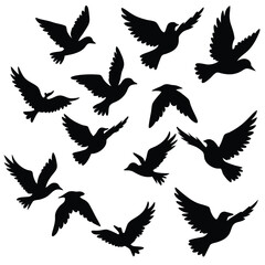 Collection of diverse bird silhouettes in flight ideal for graphic design projects