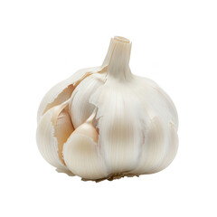 Whole Garlic Bulb on isolated Background