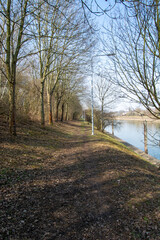 Peaceful riverside path with bare trees