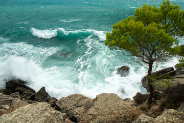 Storm on the shores of the Adreatical Sea