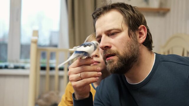 Father and son enjoying at home. Young boy and his daddy playing with funny pet budgerigar parrot. Happy family. Tamed budgie parakeet. People take care of and play with bird. Cute domestic animals