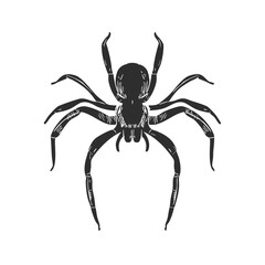 Fototapeta premium Spider Silhouette Illustration. Arachnid Symbolism And Nature Representation Isolated Vector Illustration