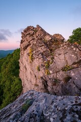 A dramatic rocky cliff with blooming yellow wildflowers at sunset. Scenic nature view over lush green forests and distant hills in soft evening light.