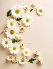 Delicate Daisies on Beige