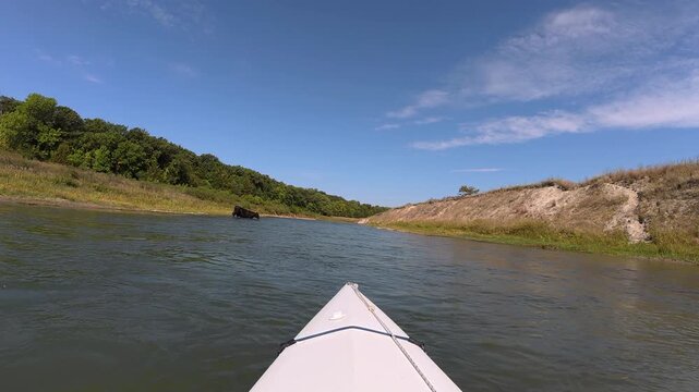 Niobrara National Scenic River in Nebraska Sandhills - POV from kayak or canoe from upstream paddling in late summer with a lonely bull crossing the river