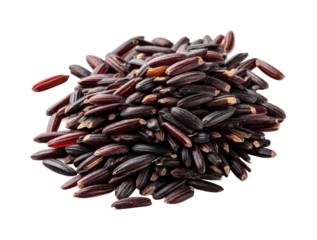 Harvesting black rice farm field food rural nutrition PNG, isolated on transparent background