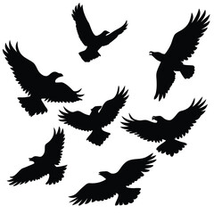 Majestic eagle in flight silhouette collection featuring dynamic wings and powerful stance