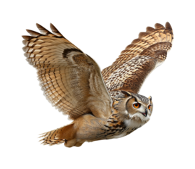 Majestic owl in flight forest wildlife nature PNG, isolated on transparent background