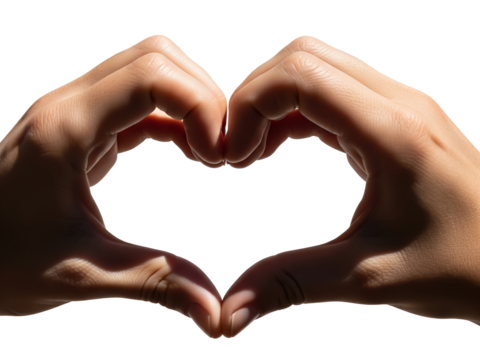 Hands Forming a Heart Shape Against a Clean White Background Representing Love