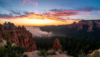 Panoramic view of a canyon sunrise
