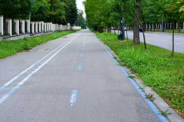 Smooth asphalt path along a tree-lined avenue perfect for walking and cycling in a peaceful urban setting
