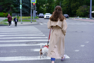 Woman walks her dog across a street while others wait at a crosswalk in a city park on a cloudy day