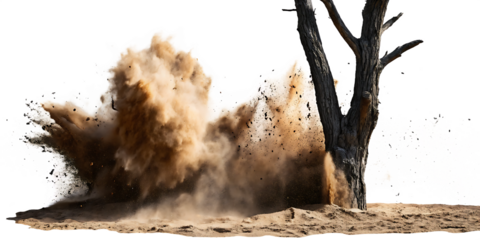 Explosion of sand and debris with a tree silhouette isolated on white background
