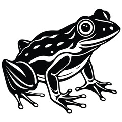 frog vector on white background