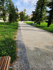 Obraz premium Park Path with Bench and Trees