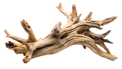 Fototapeta premium Weathered driftwood piece with unique texture and shape isolated on transparent background, showcasing natures artistry and organic beauty in a studio shot