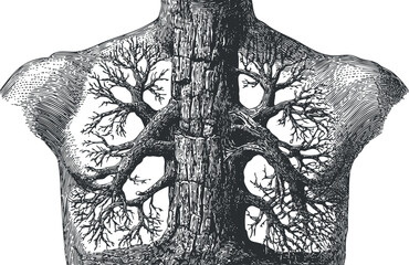Fototapeta premium An artistic illustration blending human anatomy with tree branches and roots to symbolize life and connection.