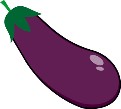 Terong (eggplant)