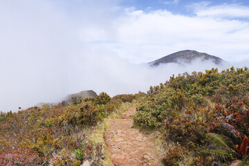 Hiking Trail in the Clouds