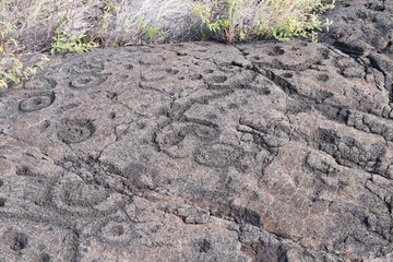 Pu&rsquo;uloa Petroglyphs Carved in Volcanic Rock