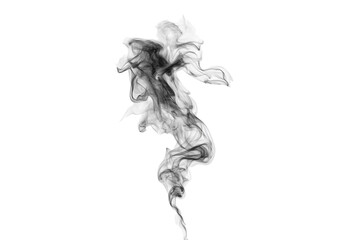 Fototapeta premium Abstract Grey Smoke Isolated Swirling Mist, Fog, and Steam Effect on White Transparent Background