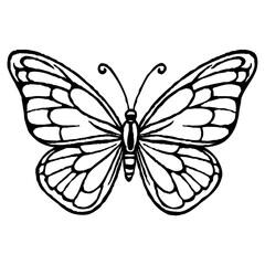 Butterfly Drawing Doodle line art