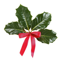 Christmas ribbon plant leaf, A single leaf from a Christmas ribbon plant, highlighting its rich green hue and elongated, ribbon-like shape, isolated on transparent background