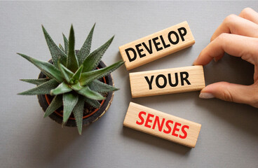 Sense symbol. Wooden blocks with words Develop your Senses. Beautiful grey background with...