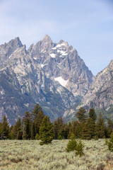 Fototapeta premium Teton Peaks and Forest