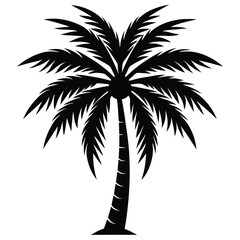 Obraz premium palm tree vector icon on white background