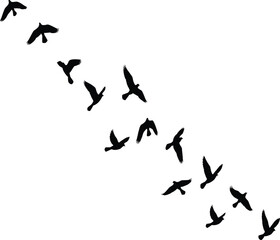 Flying bird silhouettes in formation, flock of birds illustration, black avian design, nature wildlife art, dynamic bird flight, vector graphic