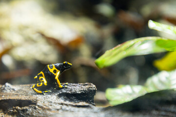 Views of the Singapore Oceanarium
