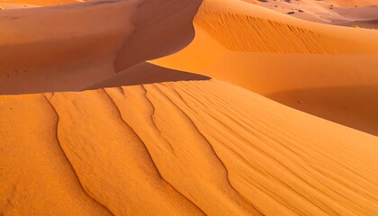 Desert dune patterns in warm ochre hues