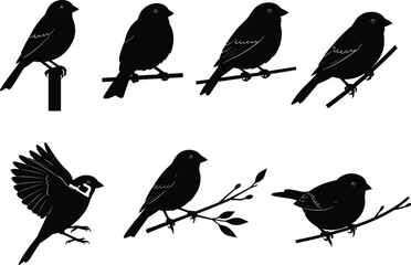 Silhouette birds on branches, perched and flying bird shapes, black avian illustration, nature wildlife art, decorative perched bird design, vector graphics