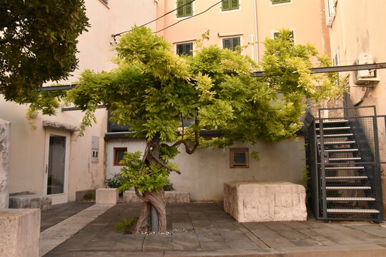 Fototapeta narrow street in the old town
