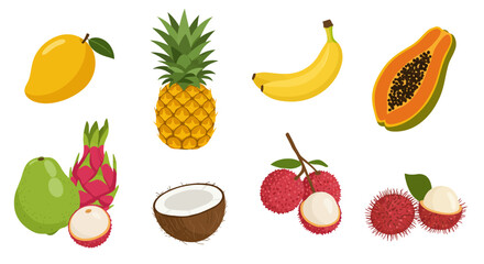 Tropical fruit mango pineapple banana papaya guava dragonfruit coconut lychee and rambutan