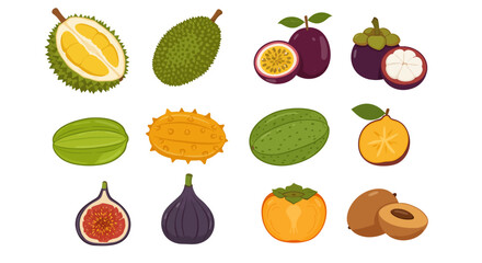 Twelve assorted exotic fruits are arranged in a grid format
