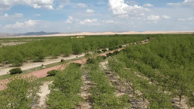 NOGALERAS CHIHUAHUA MEXICO HUERTAS DE NUECES