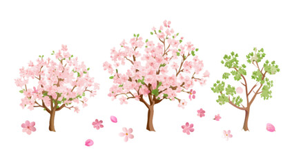 Naklejka premium Watercolor cherry blossom tree vector illustration, spring floral trees with falling petals art