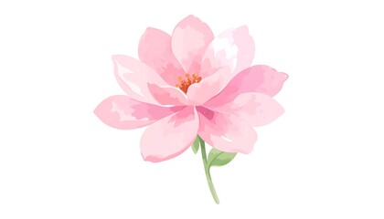 Delicate Pink Blossom Illustration
