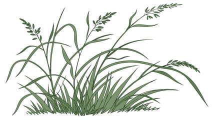 Illustration of green grass field with blades and stems for nature and landscaping design elements