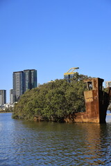 ss ayrfield, sydney australia